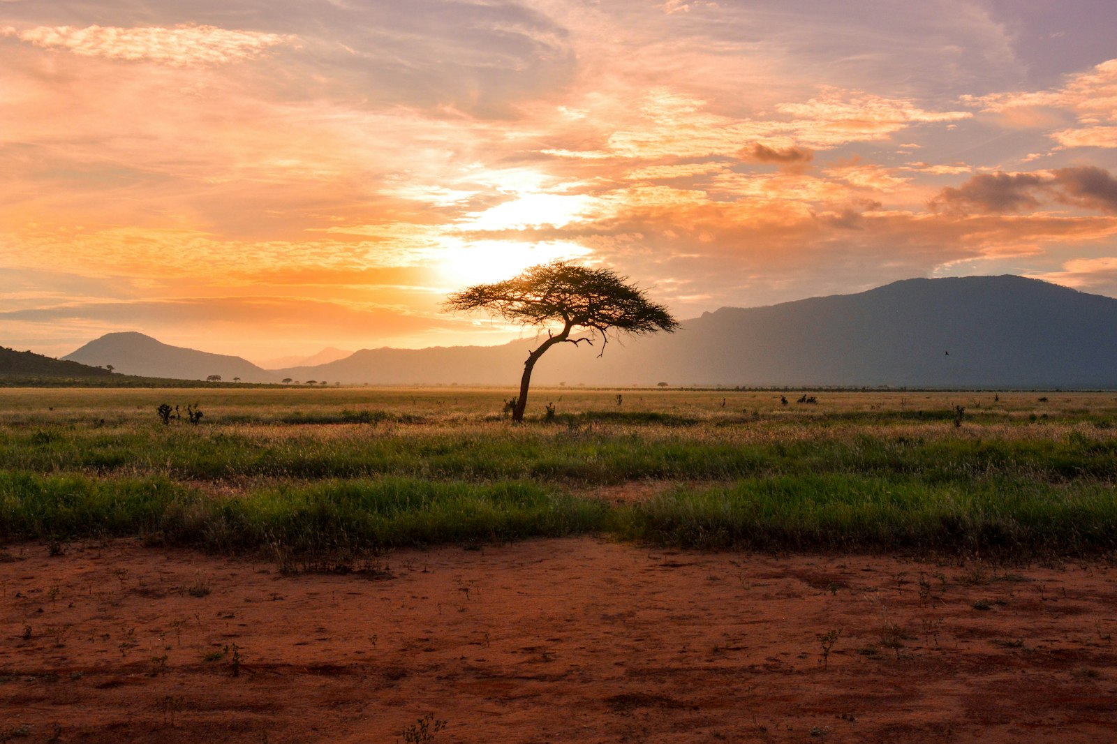 Kenyan savanna at sunset along the corridor